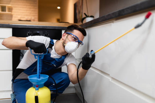 Best Best Pest Control Companies  in Bolivar, TN