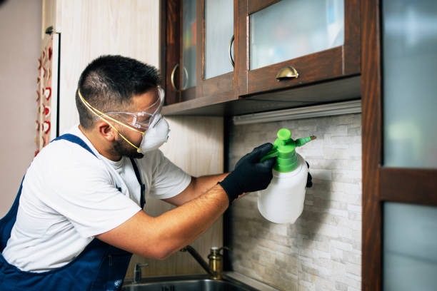 Best Termite Control Services  in Bolivar, TN