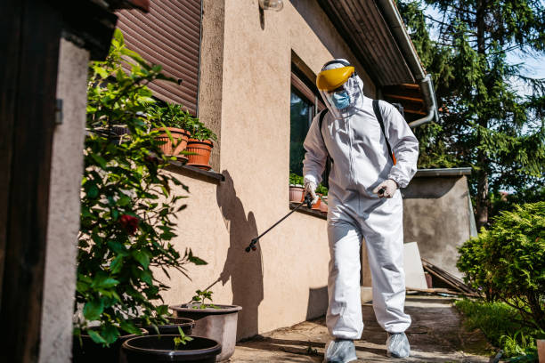Wasp Removal Services in Bolivar, TN