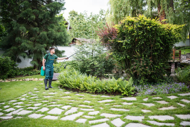 Best Residential Pest Control  in Bolivar, TN