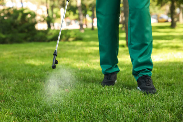 Best Flea Control Services  in Bolivar, TN