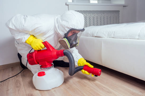 Best Bed Bug Extermination  in Bolivar, TN