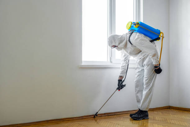 Best Commercial Pest Control Services  in Bolivar, TN