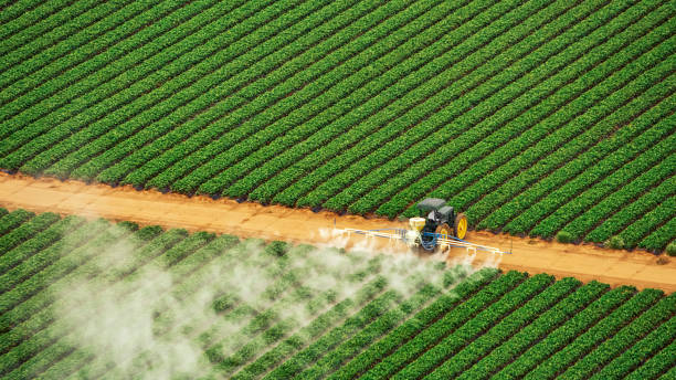 Best Pest Control Treatment  in Bolivar, TN
