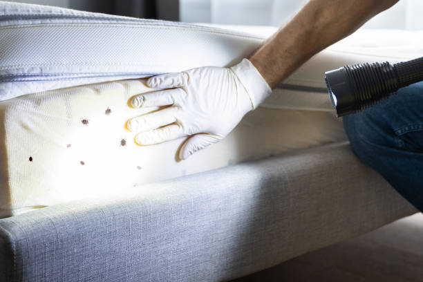 Best Pest Inspection Near Me  in Bolivar, TN