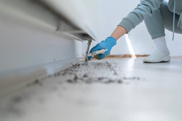 Professional Pest Control in Bolivar, TN